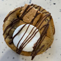 Campfire Smores